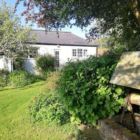 Cozy Country Cottage With Beautiful Rural Views Newquay  Luaran gambar