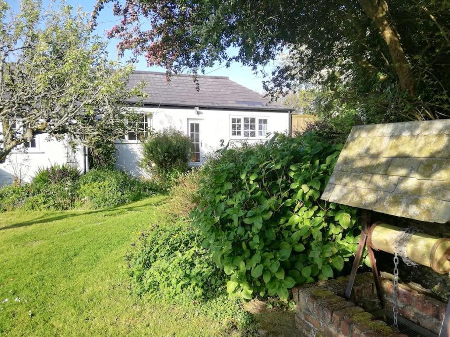 Cozy Country Cottage With Beautiful Rural Views Newquay  Luaran gambar